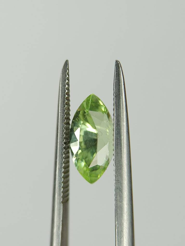 WhatsApp Image 2022-09-29 at 11.34.51 AM