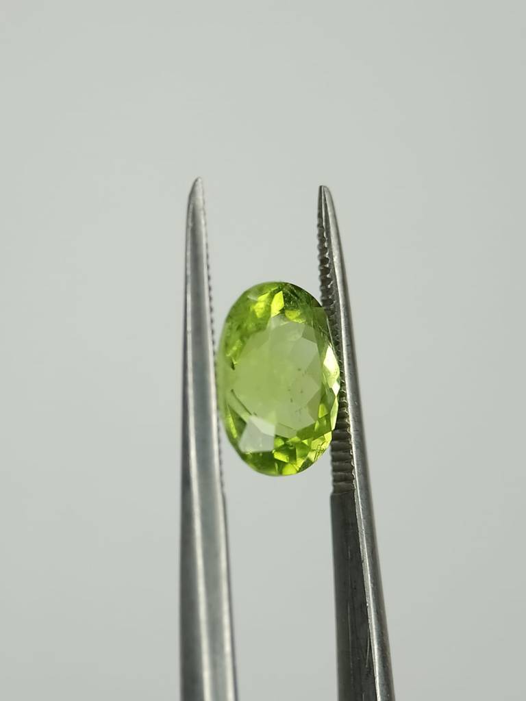 WhatsApp Image 2022-09-29 at 11.31.56 AM (1)