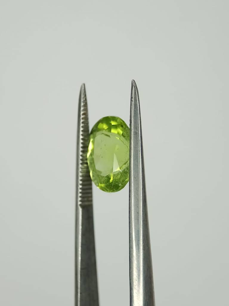 WhatsApp Image 2022-09-29 at 11.31.55 AM (1)