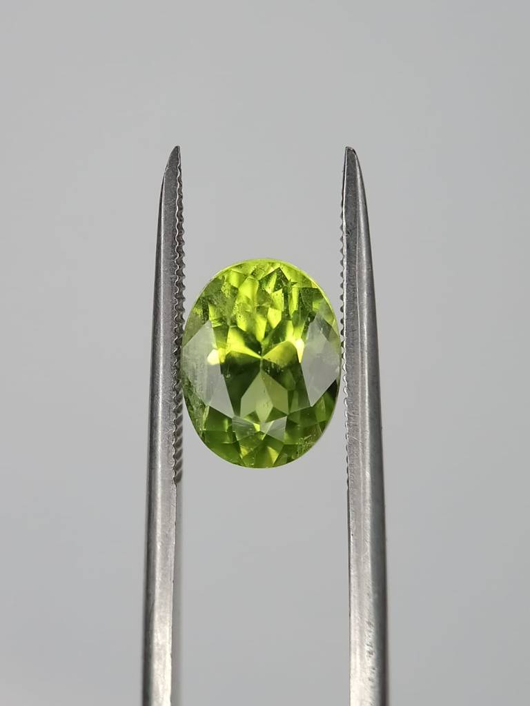 WhatsApp Image 2022-09-29 at 11.31.55 AM