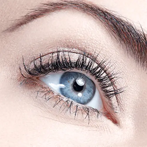 4250587726701_202005_Website_Application_500x500_crop_center