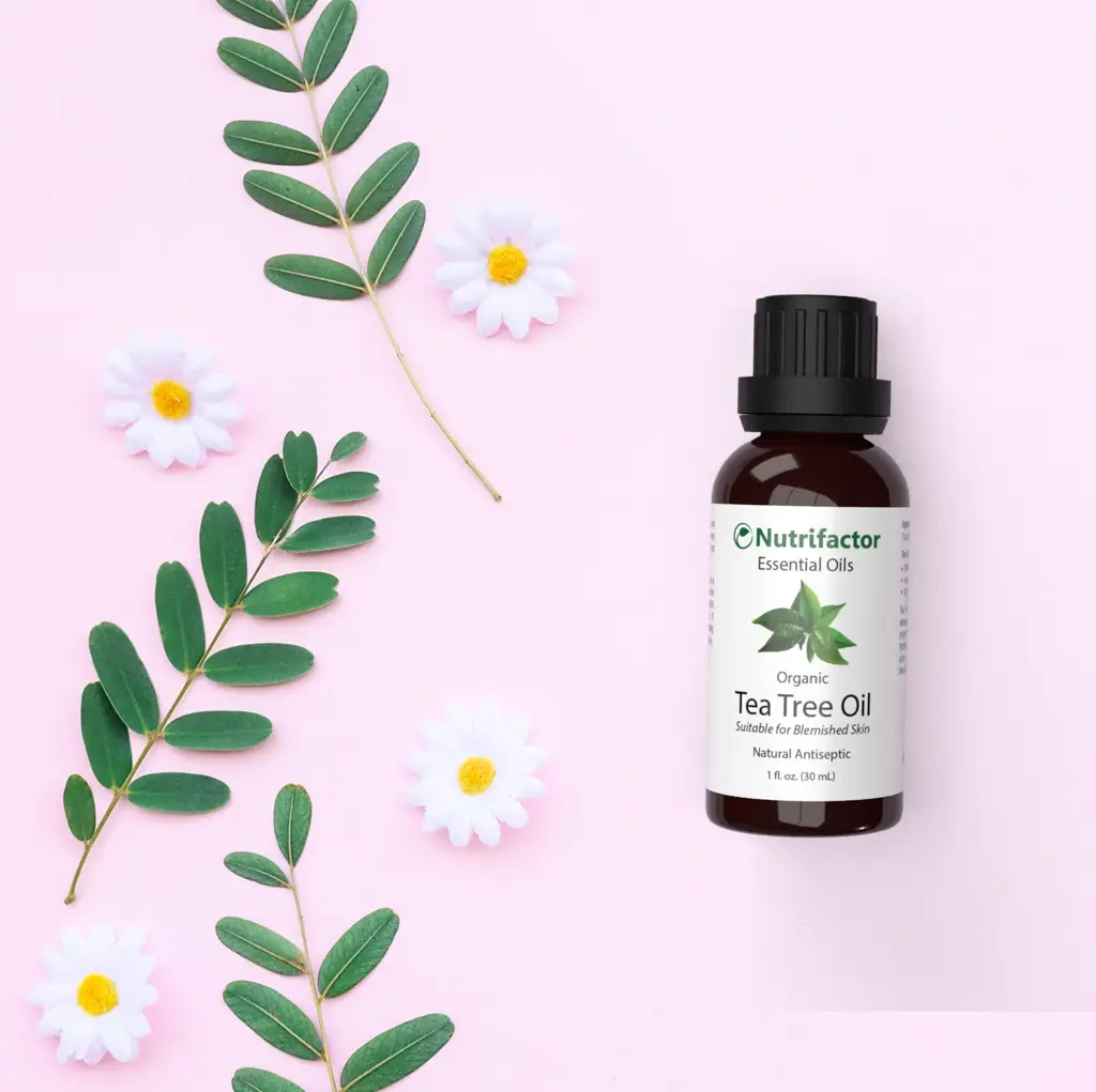 Tea_Tree_Oil_2