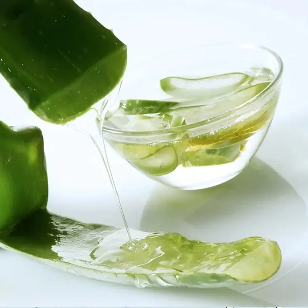 alov_d57017b3-3331-4862-9298-30268fe848d2