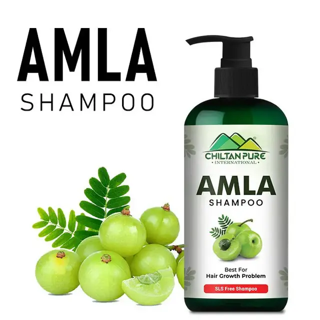 amla-shampoo-aaml-keep-your-hair-follicles-scalp-healthy-nourishment-no-1-choice-757208_640x