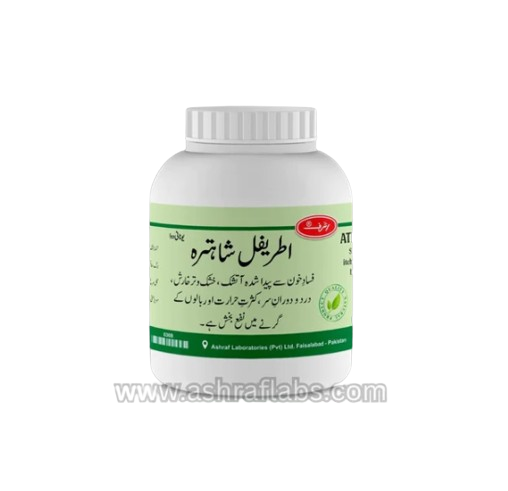 Screenshot_2023-12-05_192840-removebg-preview