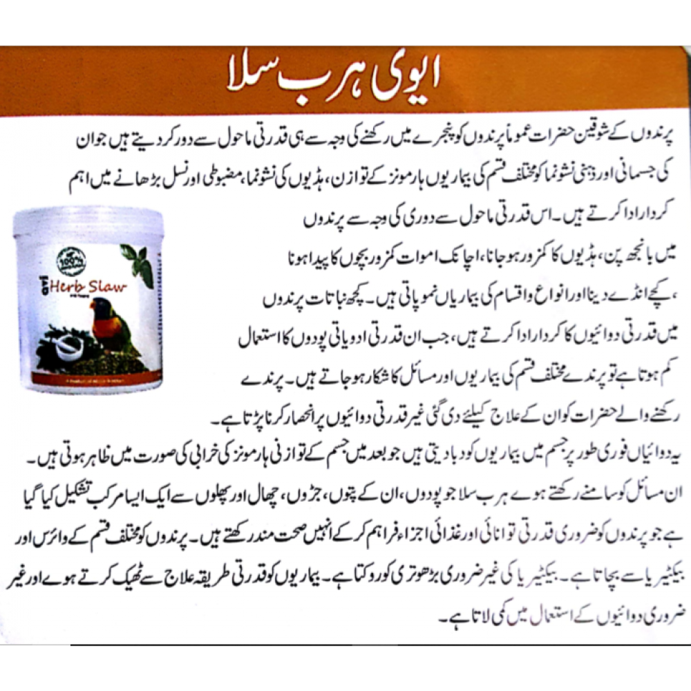 avi herb slaw-1000x1000