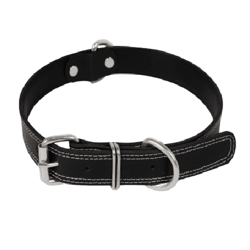 New-Project-2022-12-26T155810.459