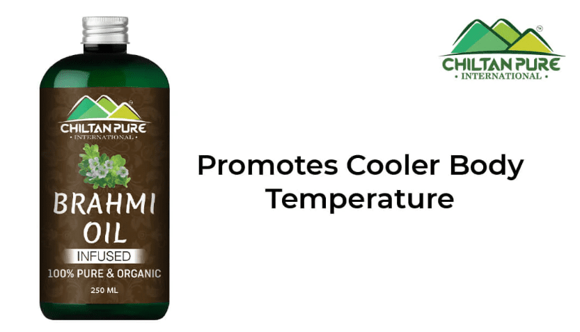 Opera Snapshot_2024-03-14_154349_chiltanpure.com