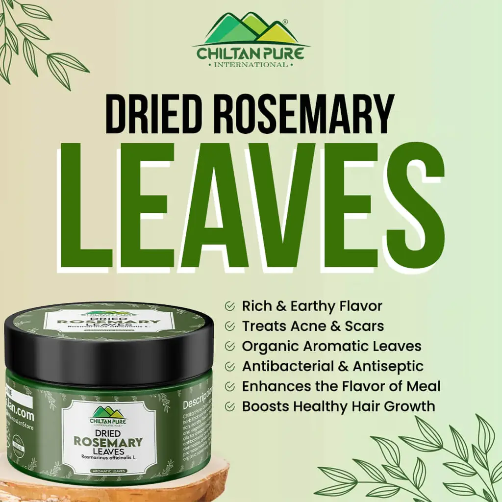 dried-rosemary-leaves-rosmarinus-officinalis-l-fresh-organic-aromatic-leaves-enhances-the-flavor-of-meal-boosts-healthy-hair-growth-treats-acne-eczema-prone-ski-751397