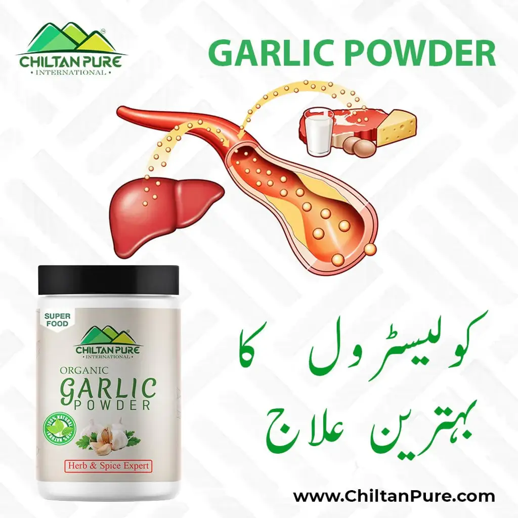 garlic-powder-with-powerful-cholesterol-lowering-ability-combat-obesity-lsn-250gm-148665