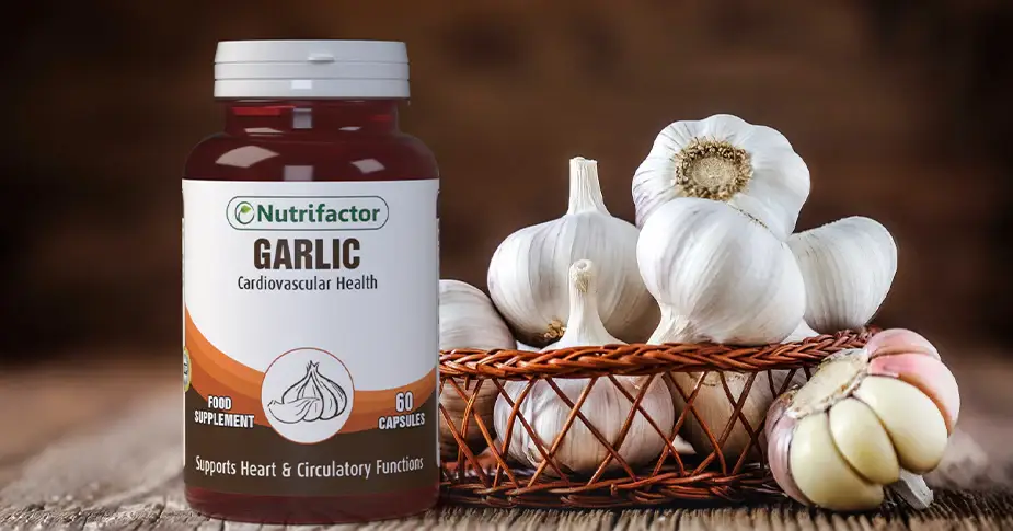 4_bfc3e5eb-78af-4614-bcf6-f3b1770fec9f